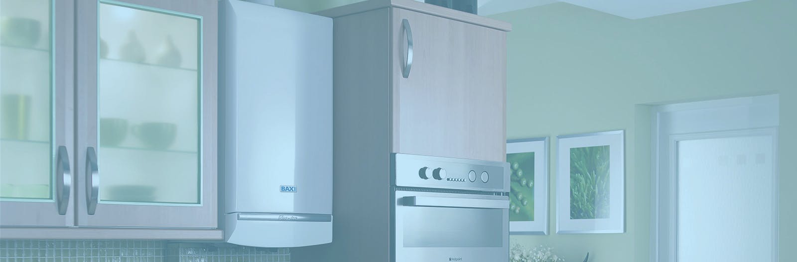 Gallery header image